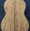 guitar back 1